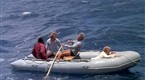 Sharks' Treasure