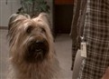 play video on Hulu