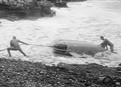 Midget Submarine picture