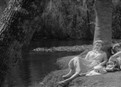 Alligator Story picture