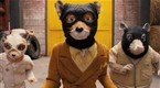 Movie Trailers: Fantastic Mr. Fox