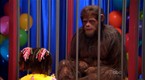 Jimmy the Talking Chimp, Pet Names