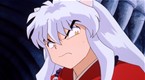 Totosai's Rigid Training