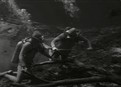 Legend Of The Mermaid picture