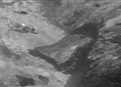 The Prospectors picture