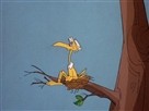 Storky and Hatch