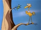 Crane Brained