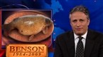 The Daily Show with Jon Stewart: Thu, Aug 6, 2009 (season 14, episode 107)