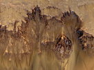Water Flows Discovered On Mars