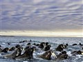 NBC TODAY Show - Book Documents Climate Change