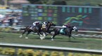 Players Network: Breeder's Cup 'Fectas