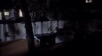 10667_145x80_manicured__z-aexd0mj0mqbha9flbfrg