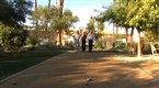 Welcome to the Parker: Get Your Petanque-A-Donk On!