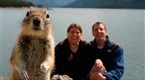 NBC TODAY Show: Squirrel pops up in vacation photo
