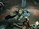Batman: Arkham Asylum - Ninja Skills