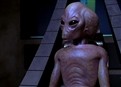 Disclosure picture
