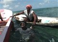 Diving Too Deep picture