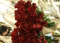 Blood Roses and Deadly Diamonds picture