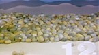 Rocks Number 12