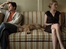 Shared Custody