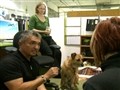 Dog Whisperer - Instinctual Communication
