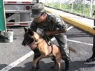 Drugs, Money and Narco-Terror