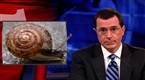 The Colbert Report: Wed, Aug 12, 2009 (season 5, episode 110)