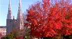 Old World Charm in Ottawa