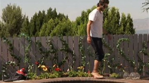 House Guests Video