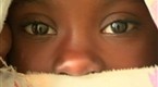 NBC Nightly News with Brian Williams: ‘Orphans’ in ‘Haiti 10’ Saga Reunite With Families