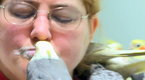 09x19 Condensed Soup, May 16, 2012 Screenshot