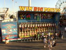 Last Summer at Coney Island
