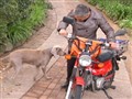 Video Sample