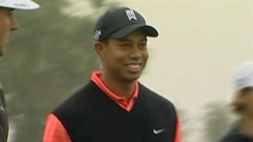 Tiger Woods Divorce Panel