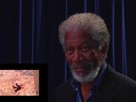 Morgan Freeman