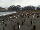 Antarctic Mission - Full Movie