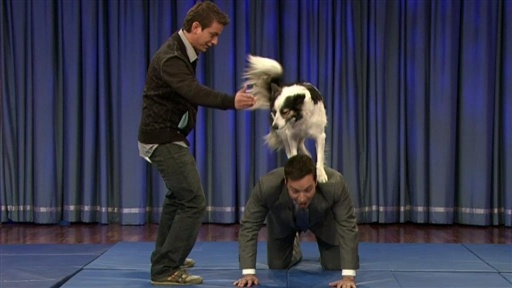 Zak George's Dog Tricks