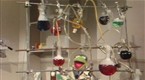 Kermit News On Six Dollar Man