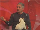 Cesar Millan Answers Dog Questions