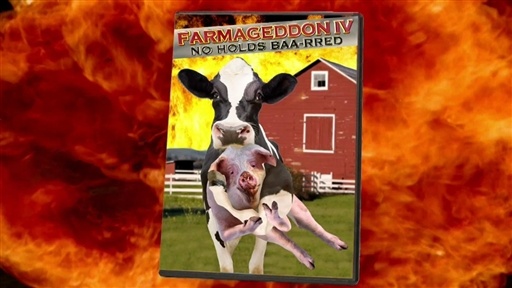 Polite Dog Fighting Videos