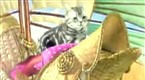 Red Eye: Fri, Feb 26, 2010 (season 2, episode 670)