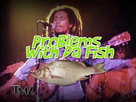 Bob Marley - Problems With Da Fish!