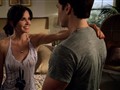 Cougar Town - Everyone Loves Cougar Town Wednesdays