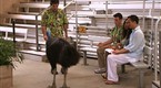 02x10 Miami Thrice