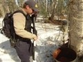 Alaska State Troopers - Bating Bears
