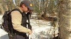 Alaska State Troopers: Bating Bears