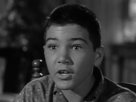 The Donna Reed Show | Season 3 Episode 14 | Someone Is Watching