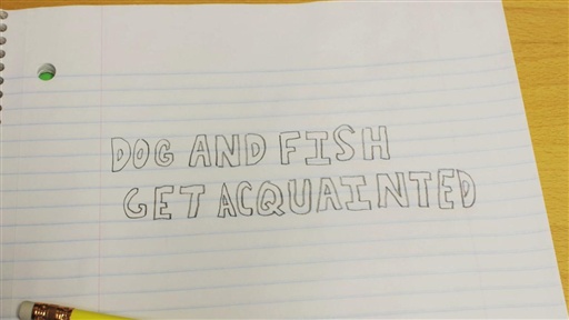 Dog and Fish Get Acquainted: Episode 8