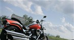 Accessories: Suzuki Summer Cruise