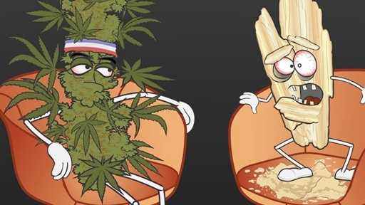 Master Debaters: Pot vs Meth